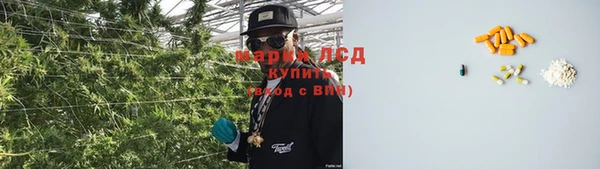 ГАЛЛЮЦИНОГЕННЫЕ ГРИБЫ Алзамай