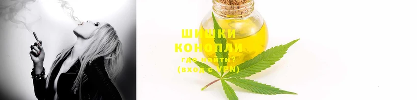 ГАЛЛЮЦИНОГЕННЫЕ ГРИБЫ Алзамай