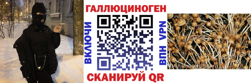 ссылка на мегу   Красновишерск  Псилоцибиновые грибы Magic Shrooms 